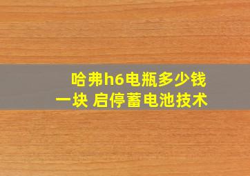 哈弗h6电瓶多少钱一块 启停蓄电池技术